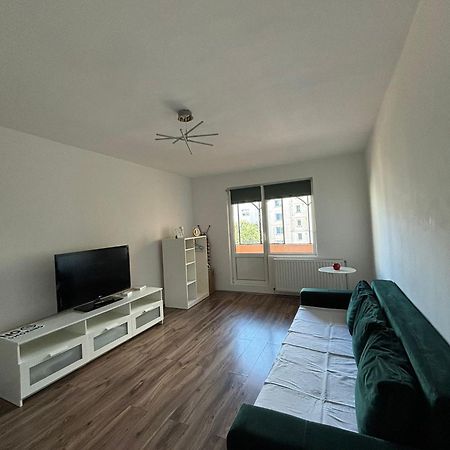 Ale Teo Apartament Apartment Targu-Mures Bagian luar foto