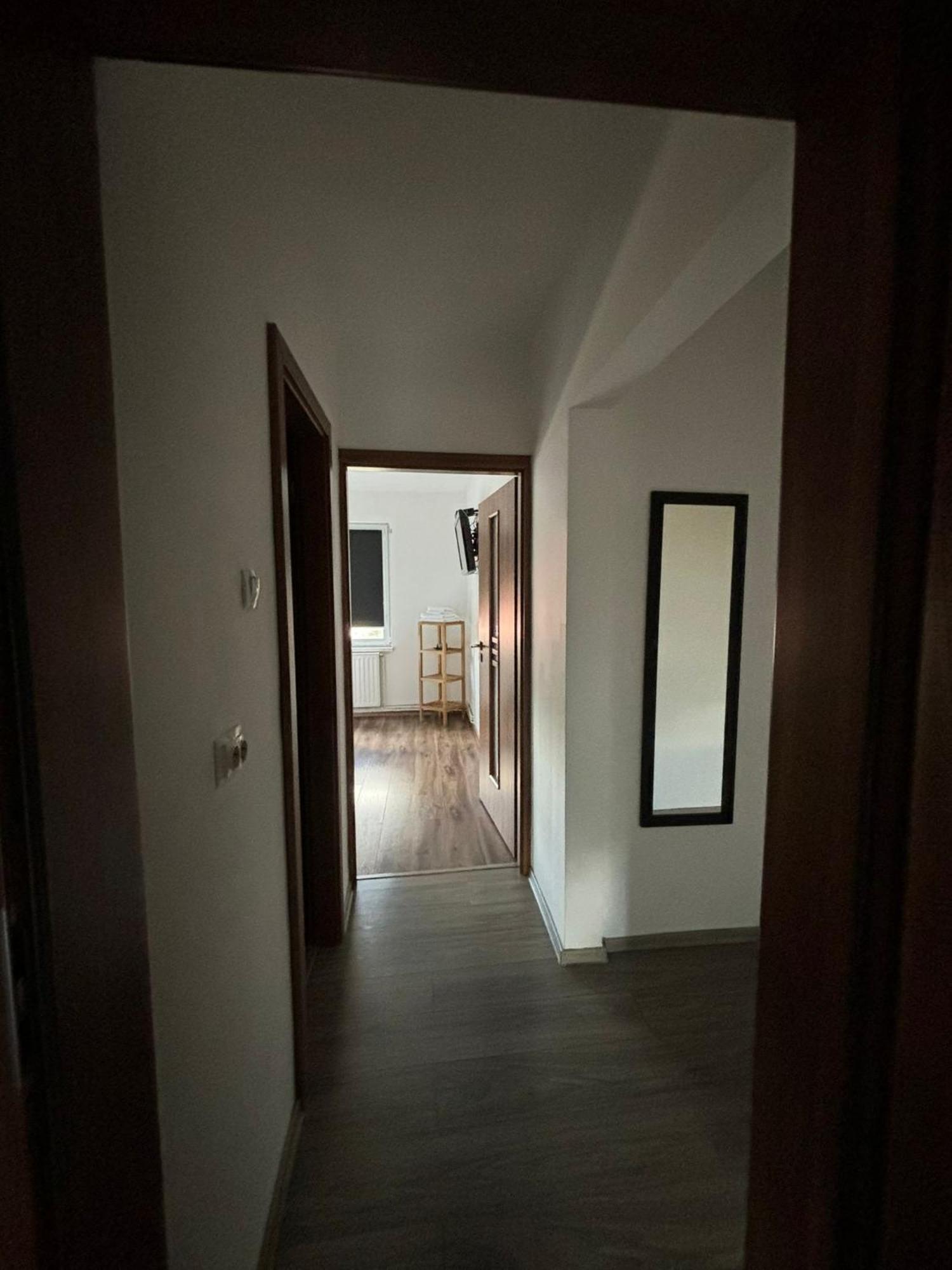 Ale Teo Apartament Apartment Targu-Mures Bagian luar foto