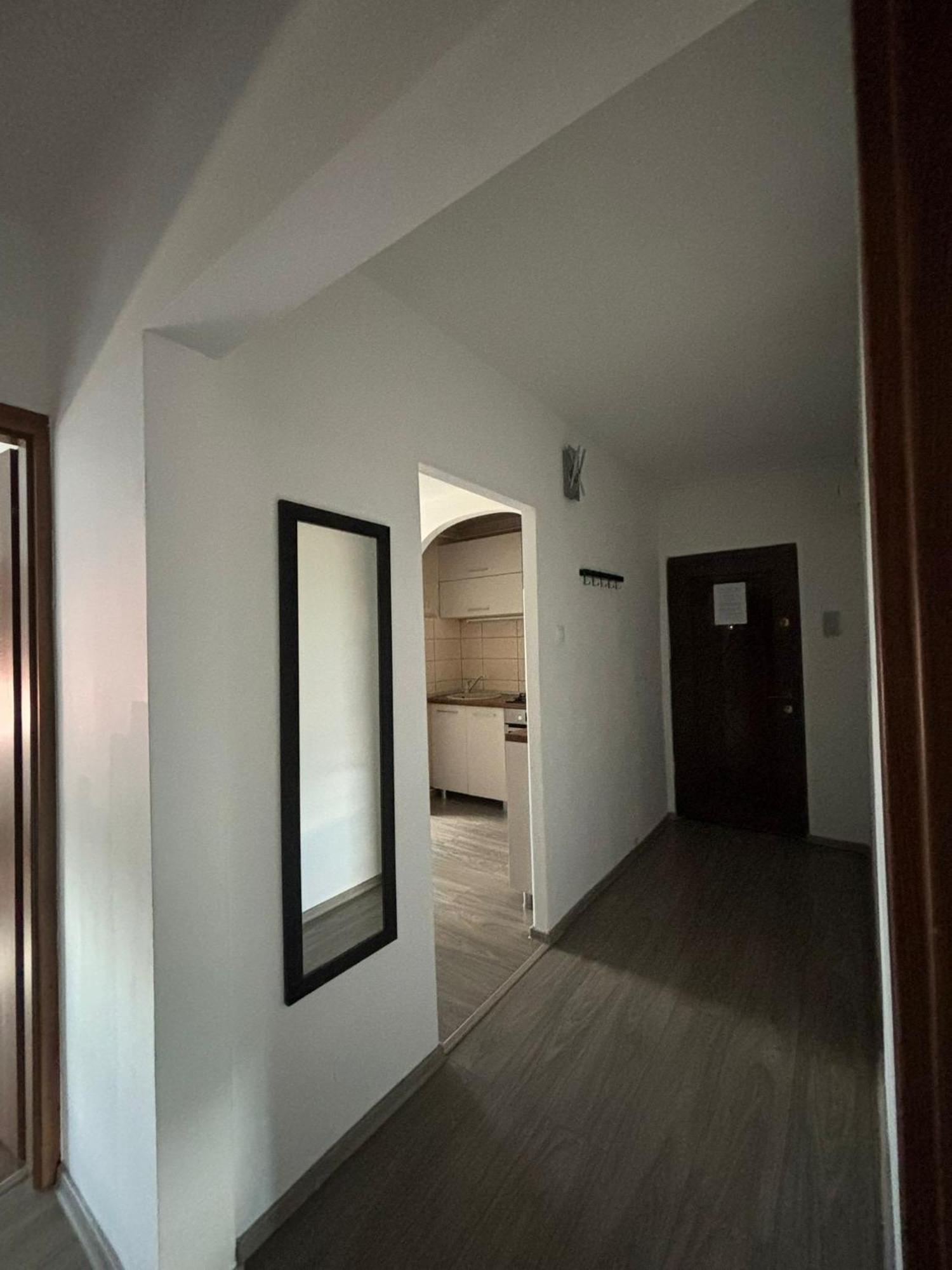 Ale Teo Apartament Apartment Targu-Mures Bagian luar foto